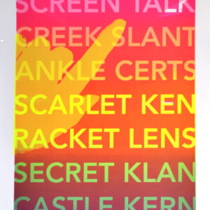 Neïl Beloufa — SCREEN TALK [A11]